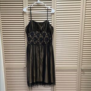 Connected Apparel Black and Tan Midi Dress